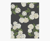 Hydrangea Wallpaper Sample - Black & White