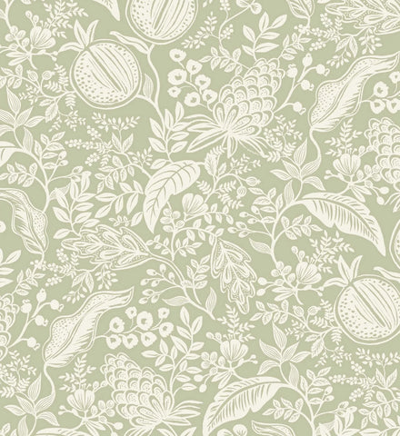 Pomegranate Peel & Stick Wallpaper - Pistachio & White