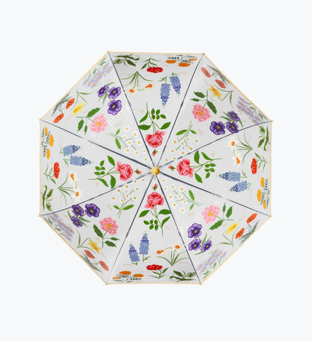 Umbrella - Garden Study