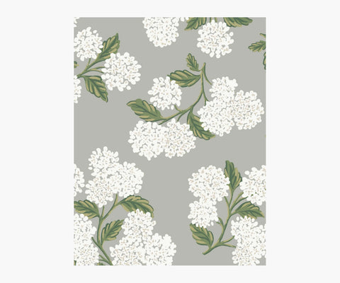 Hydrangea Wallpaper Sample - Grey