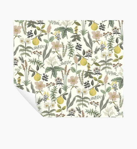 Herb Garden Peel & Stick Wallpaper - Cream