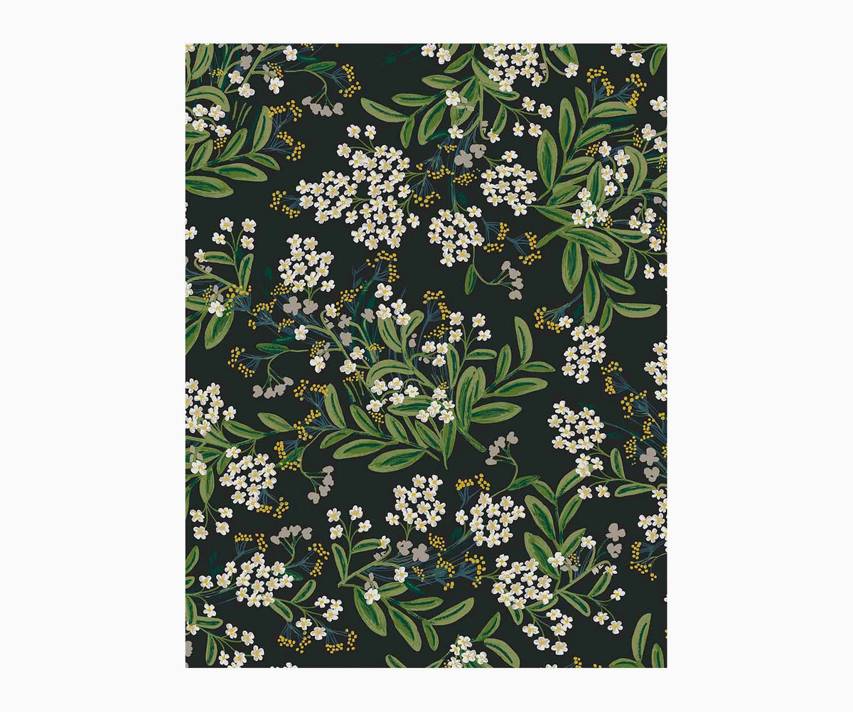 Cornflower Wallpaper Sample - Black