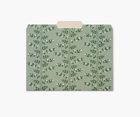 Assorted File Folders - Dahlia