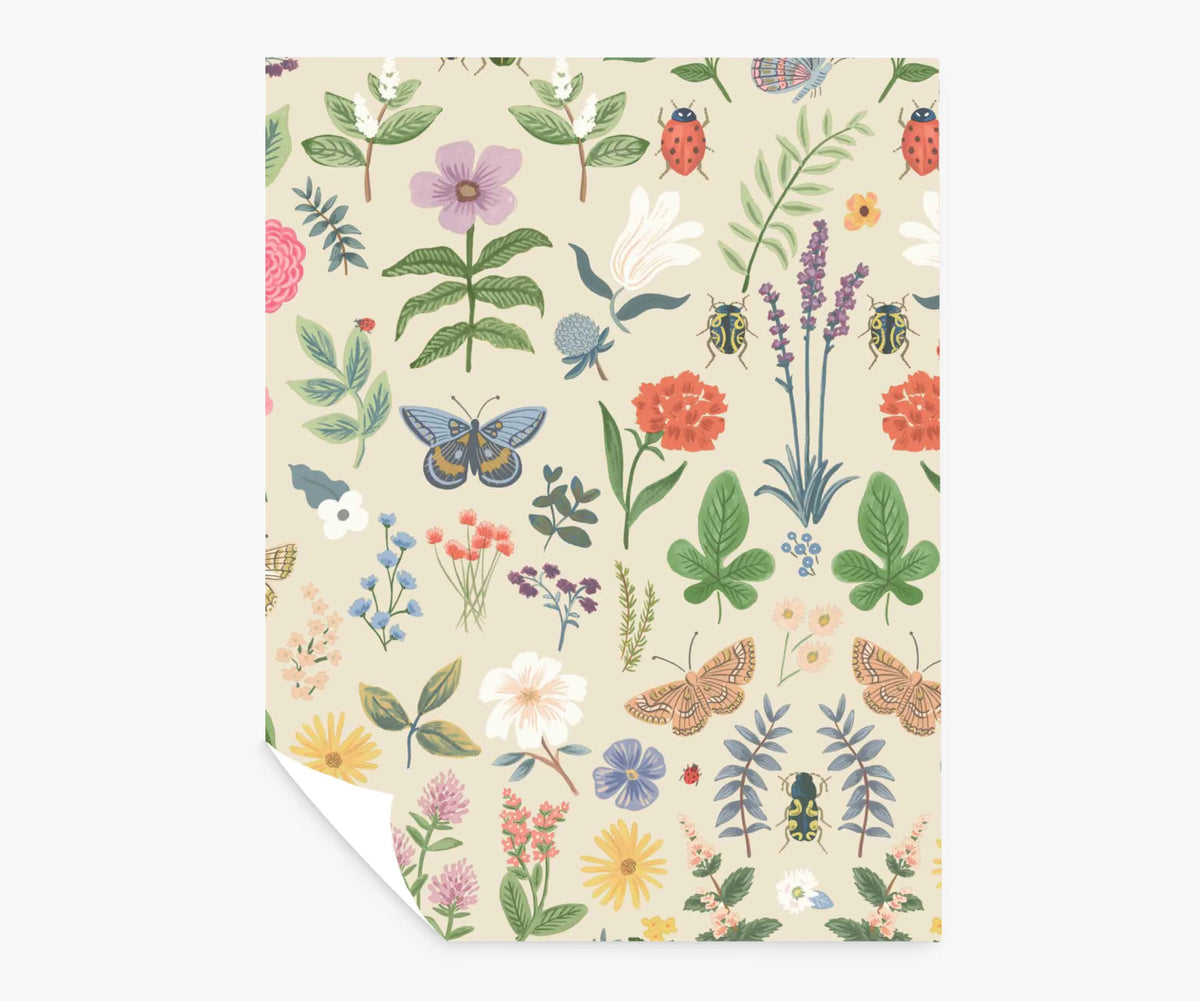 Curio Peel & Stick Wallpaper Sample - Cream