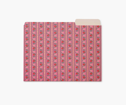 Assorted File Folders - Dahlia