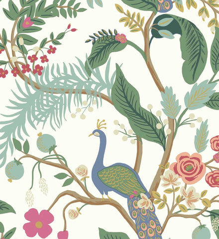 Peacock Wallpaper - Rouge