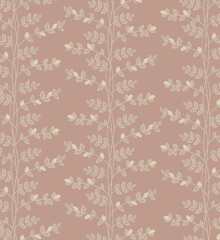 Climbing Vines Wallpaper - Rose