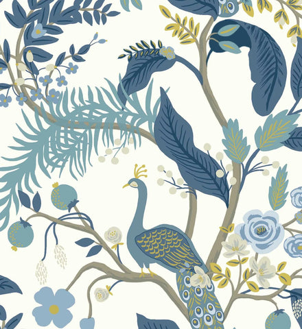 Peacock Wallpaper - Blue & White